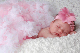 Monica_Preisinger_Page5