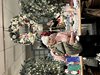 IMG_7203