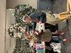 IMG_7186 - Copy