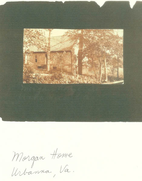 Image1-41