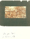 Image1-41