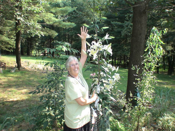 Picture 017