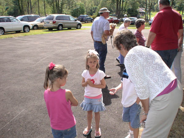 Picture 043